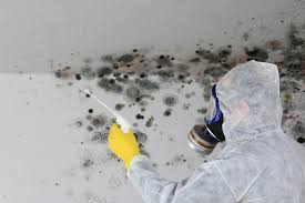 Mold Odor Removal Services